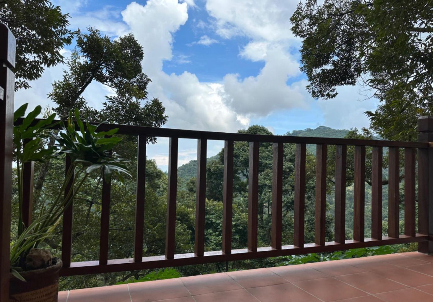 Bao Sheng Durian Farm Farm stay *