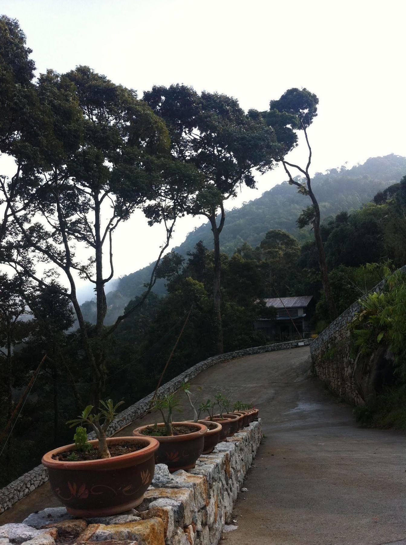 Bao Sheng Durian Farm *