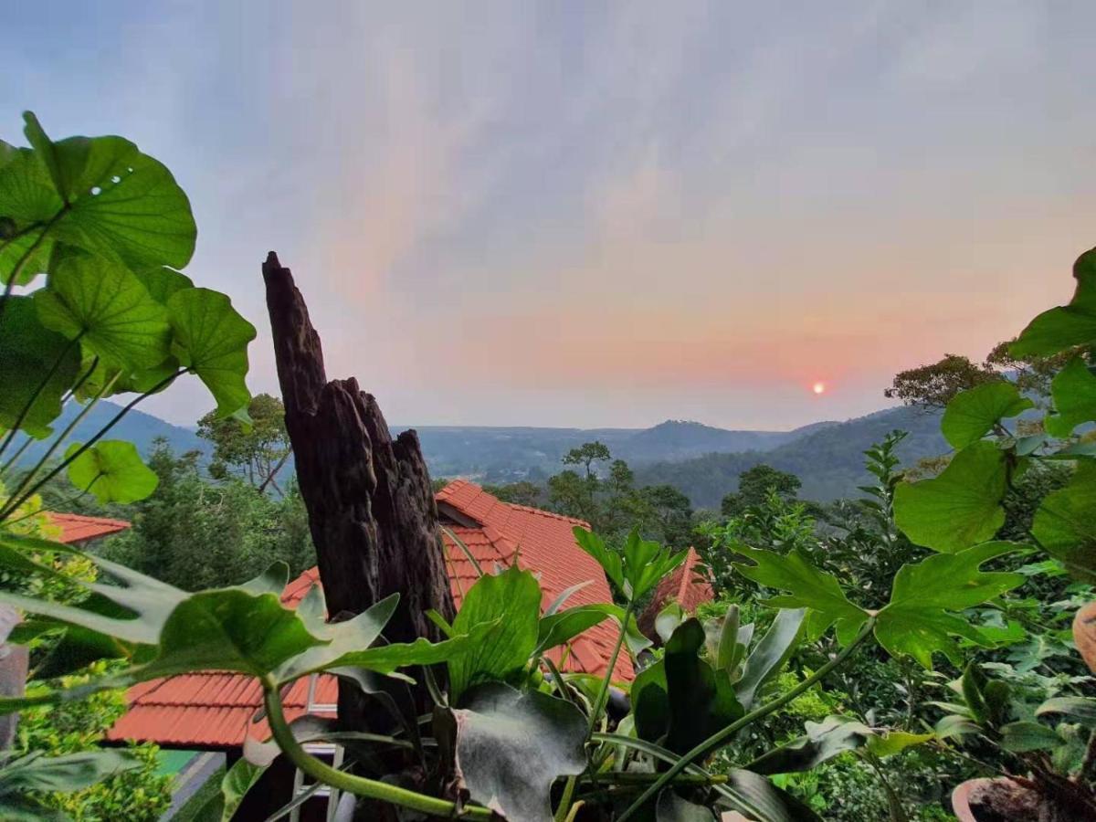 Farm stay Bao Sheng Durian Farm