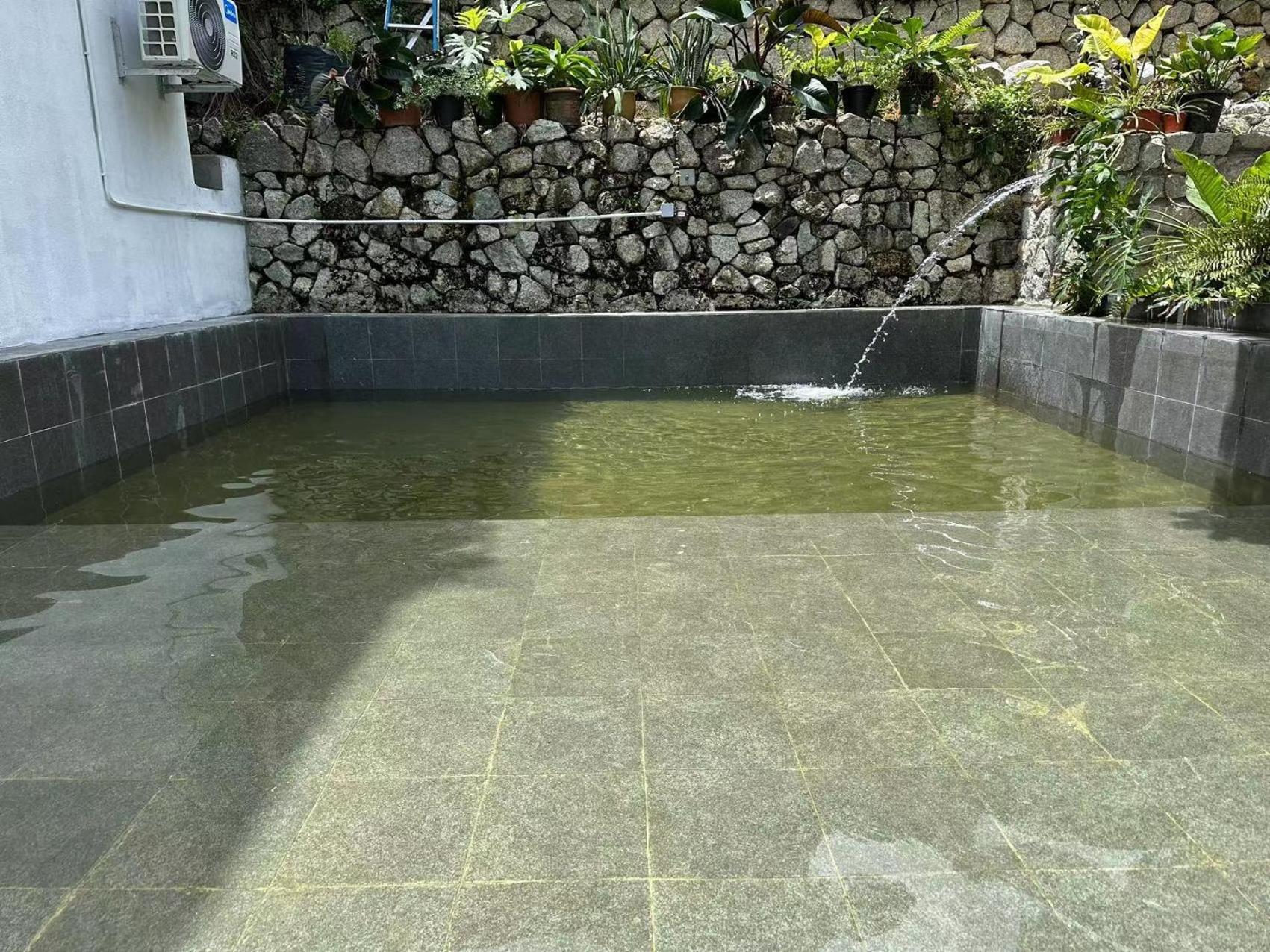Bao Sheng Durian Farm Farm stay
